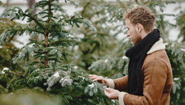 <span>Actualité</span>Réservation de Sapins de Noël